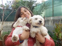 /album/marisa-neves/dscn3058-jpg/